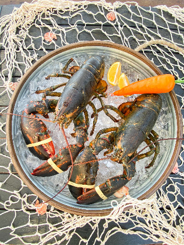 Live Maine Lobster (2-3lbs)