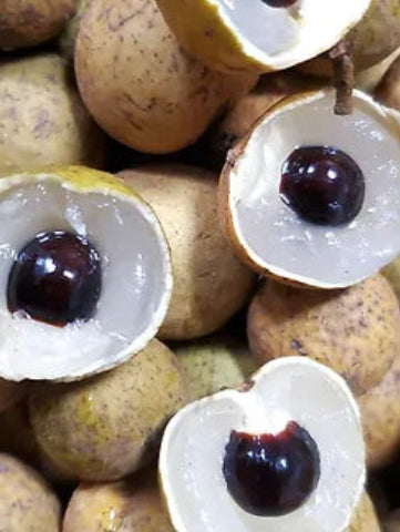 Hawaiian Longan