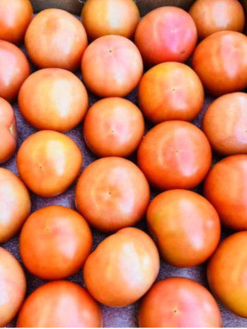 Round Tomatoes