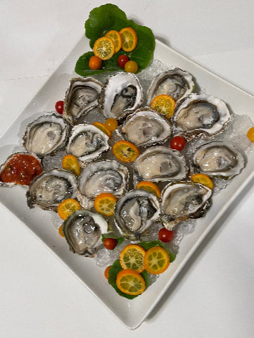 Kumamoto Oysters