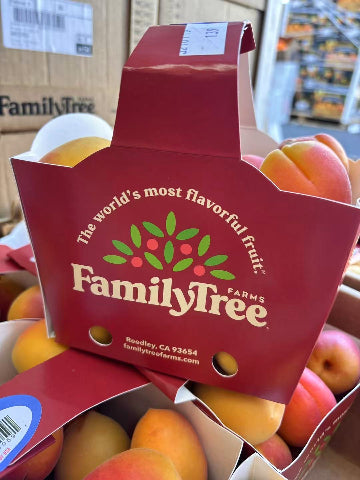 Apricots " Fire Cots"