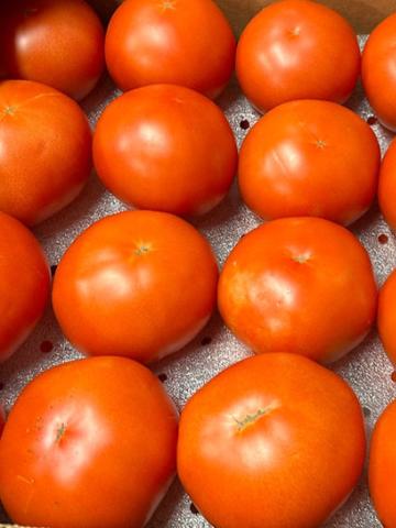 Round Tomatoes