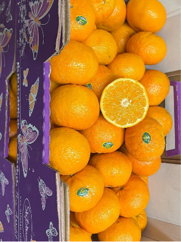 Orri Mandarins Israel