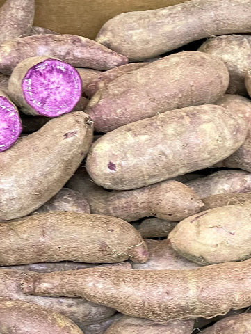 California Purple Yam - Large