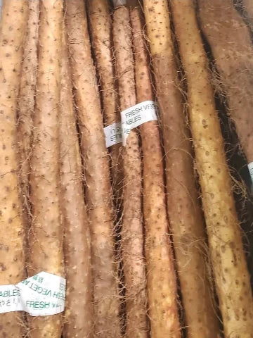 Chinese Wild Mountain Yam