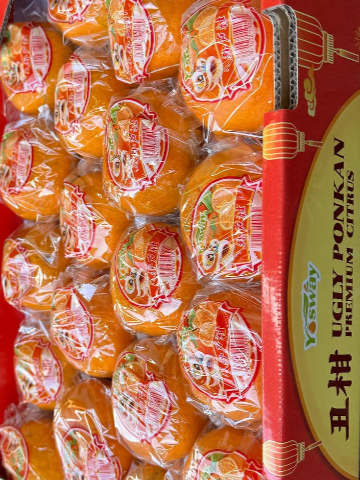 Honey Ponkan Mandarins 8#