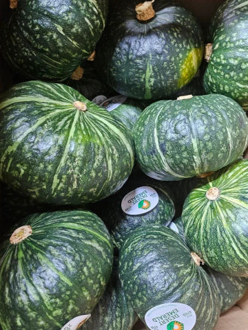 Mini Kabocha Squash