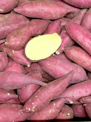 Japanese Yam- Small