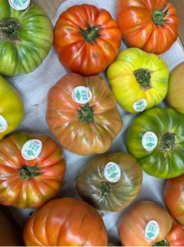 Heirloom Tomatoes