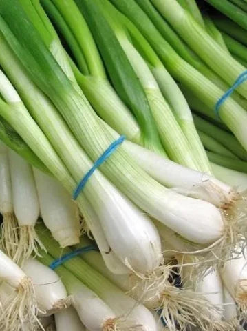 Green Onions